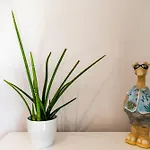 Ubytko - In - Experience Rye Island Apartment Blahova
