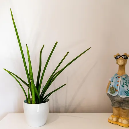 Ubytko - In Blahová - Experience Rye Island Apartamento Blahova