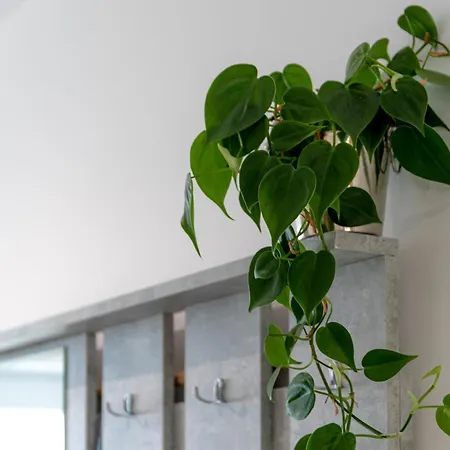 Apartamento Ubytko - In Blahová - Experience Rye Island Blahova