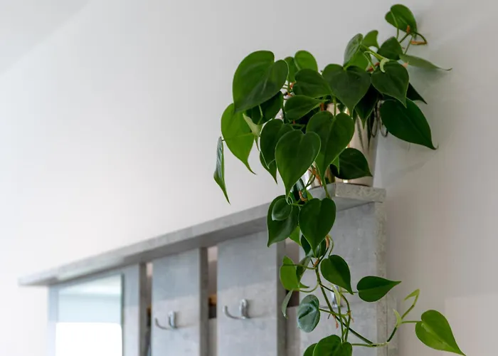 شقة Ubytko - In - Experience Rye Island Blahova